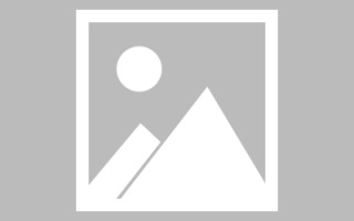 兴安盟最佳网站建设（网站建设哪个平台最好）